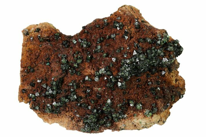 Deep-Green Libethenite Crystal Cluster #169827